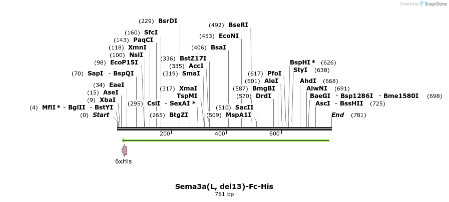 139910_map