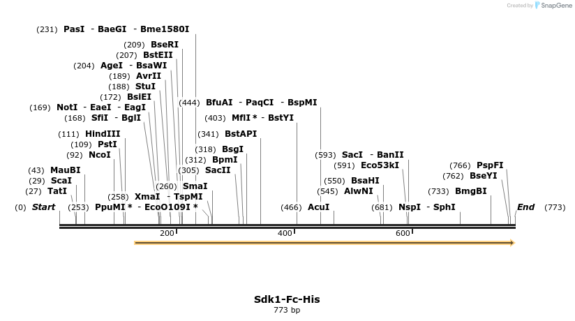 139913_map