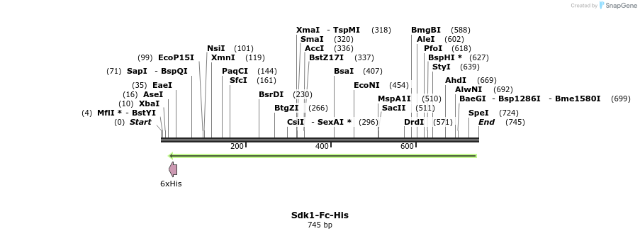 139914_map