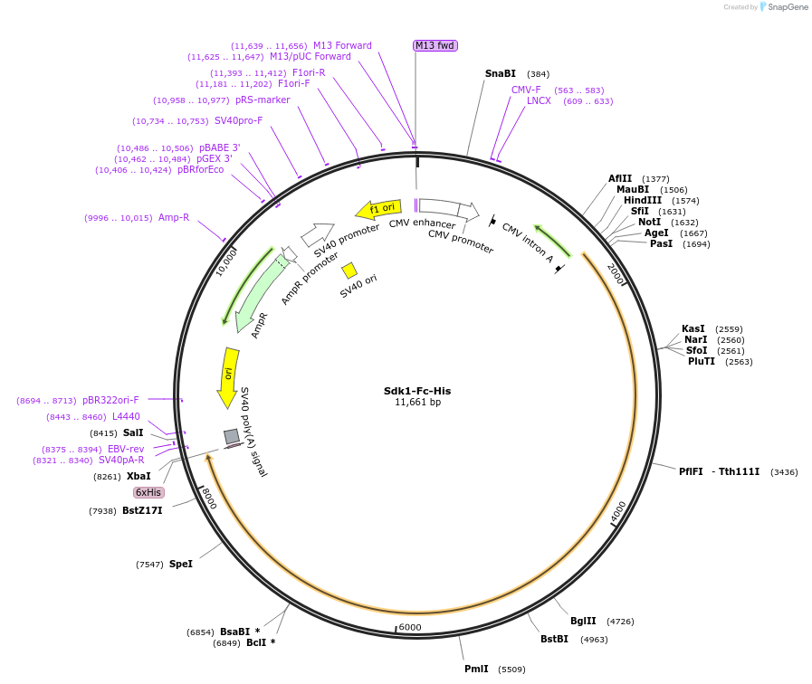 139915_map