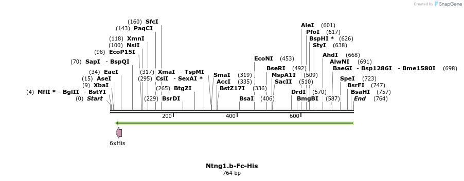 139921_map