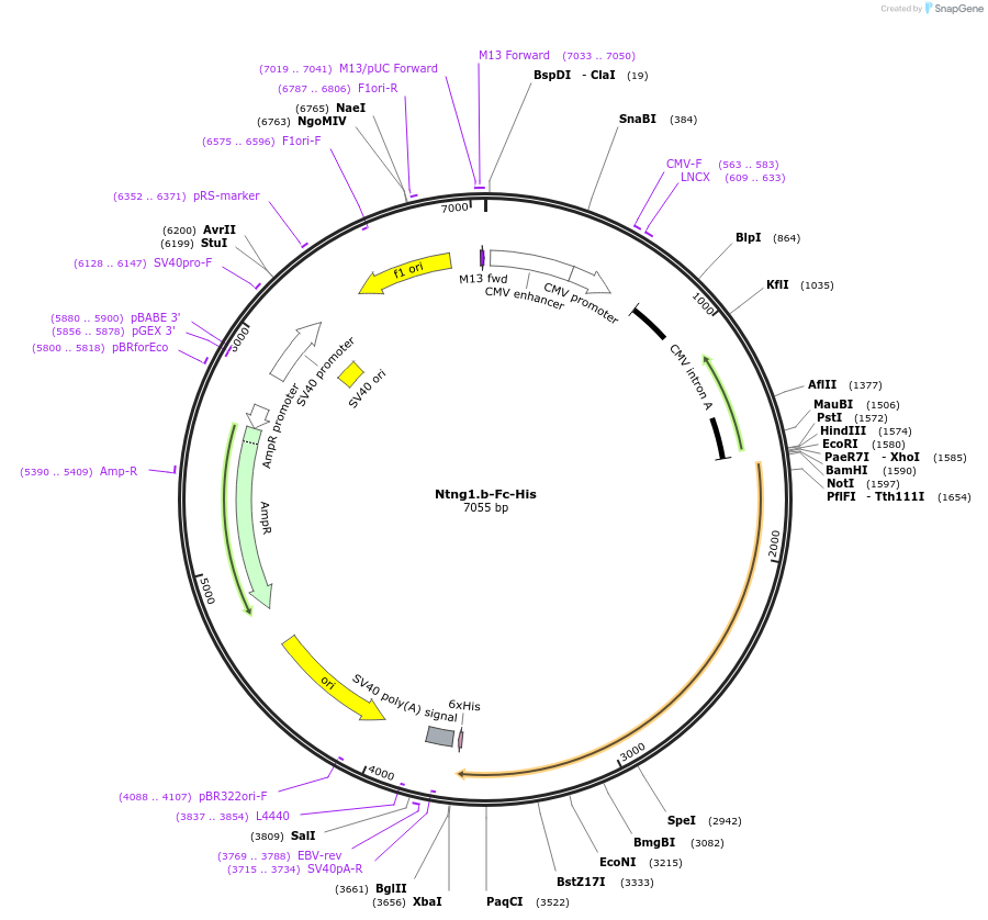 139922_map