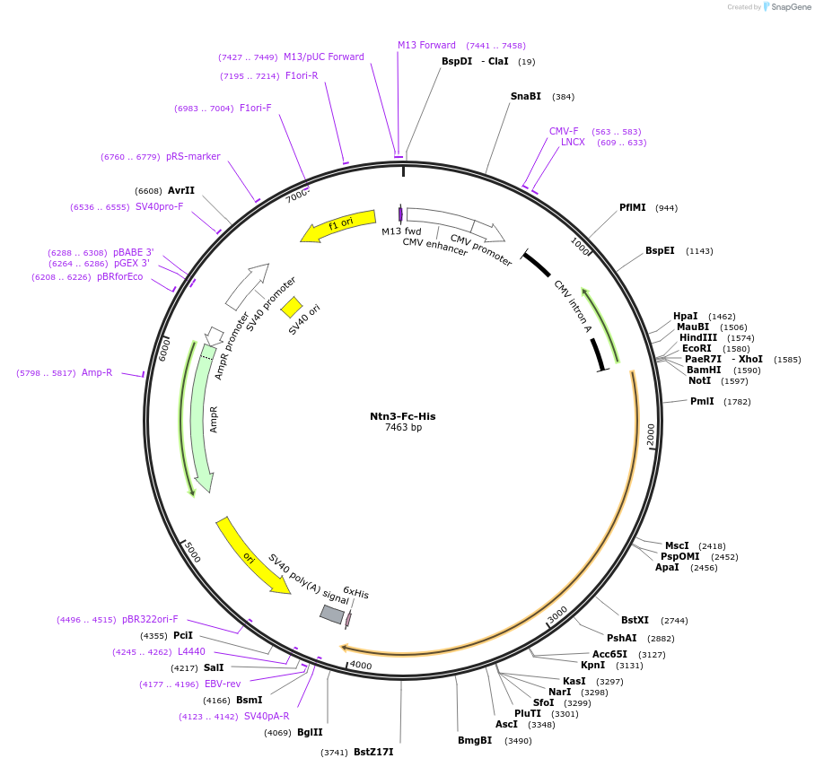 139925_map