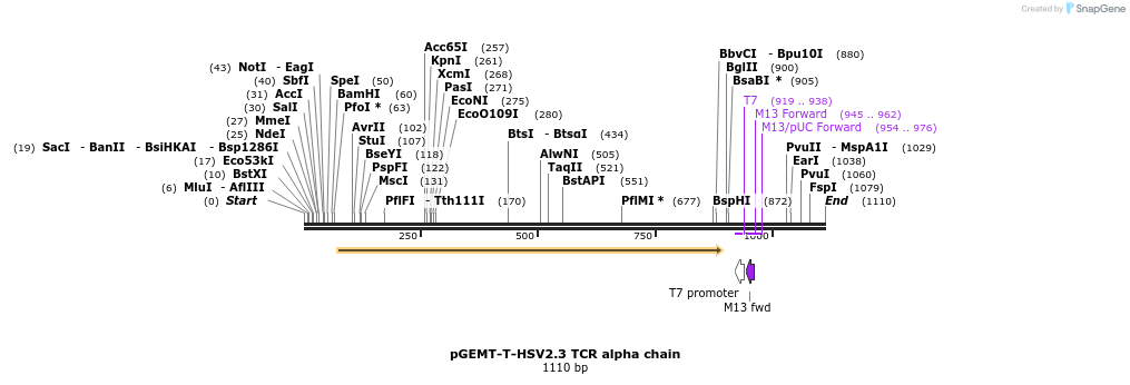 139926_map
