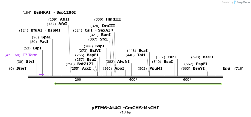 139934_map