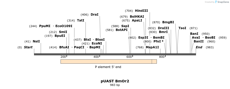 139937_map
