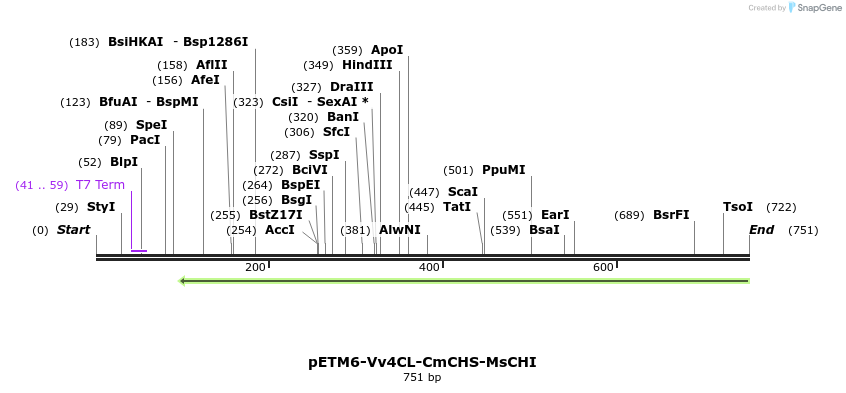 139939_map
