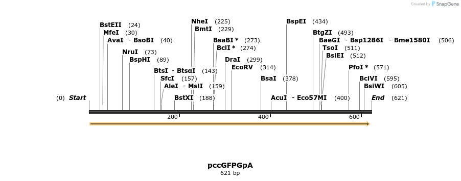 139941_map
