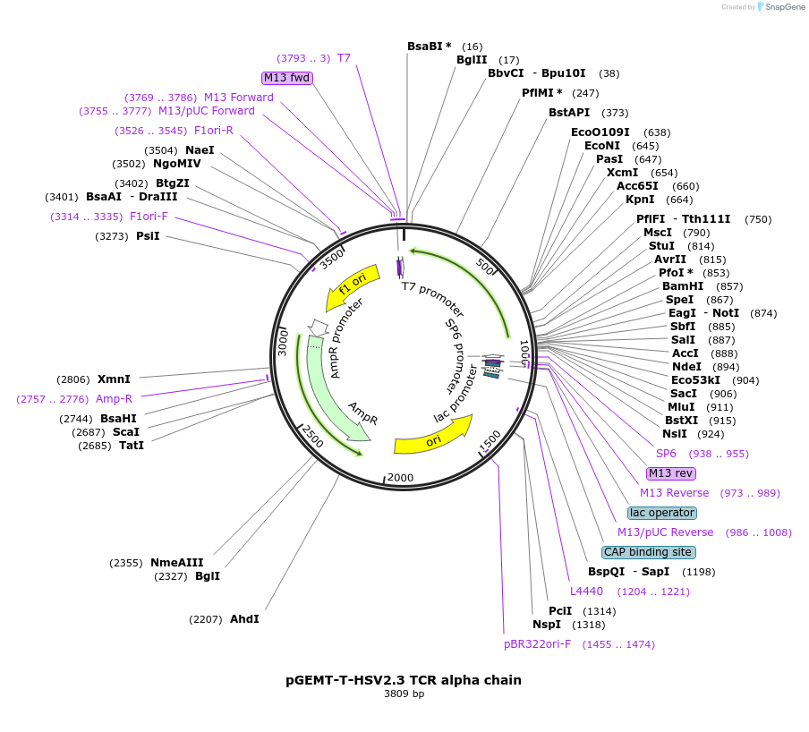 139944_map