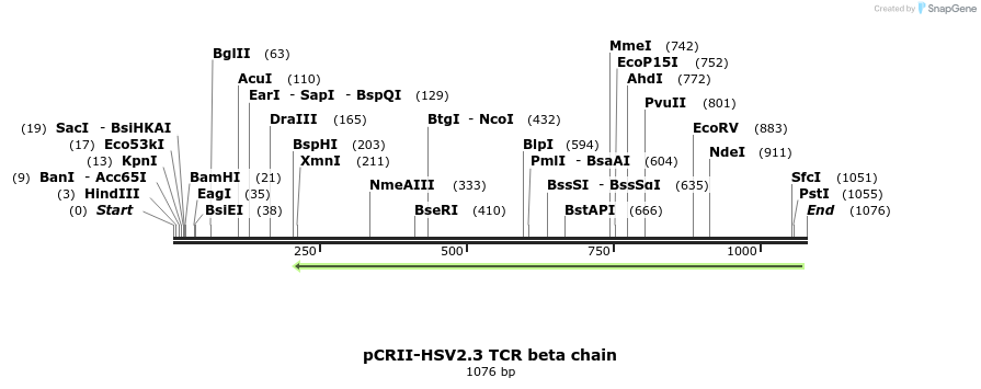139947_map