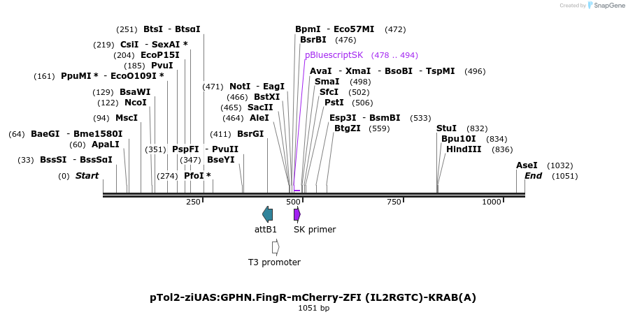139954_map