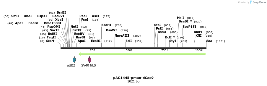 139971_map