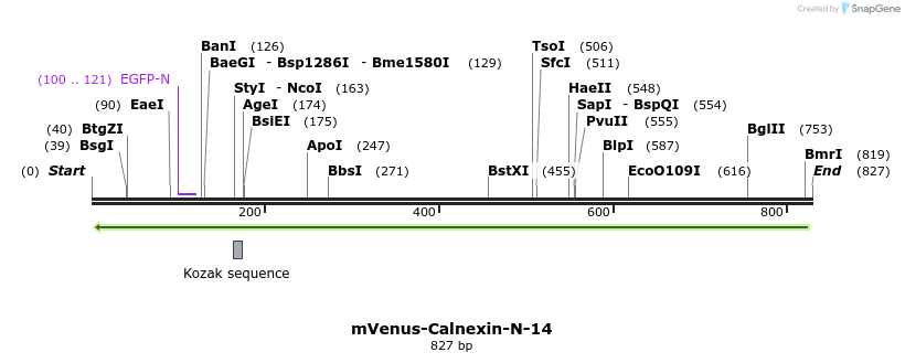 139976_map