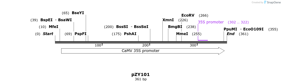 139977_map