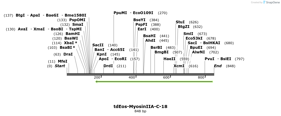 139978_map