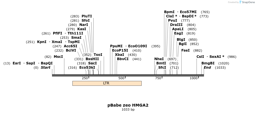 139981_map