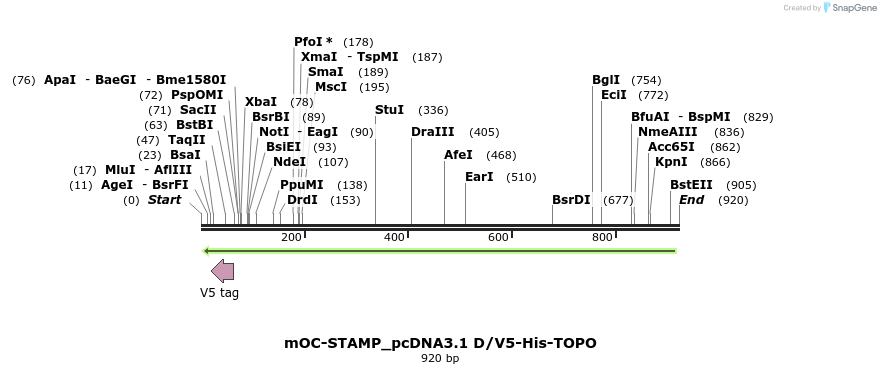 139982_map