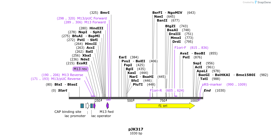 139985_map