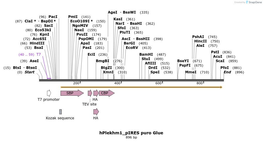 139987_map