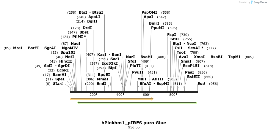 139992_map