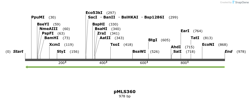 139994_map