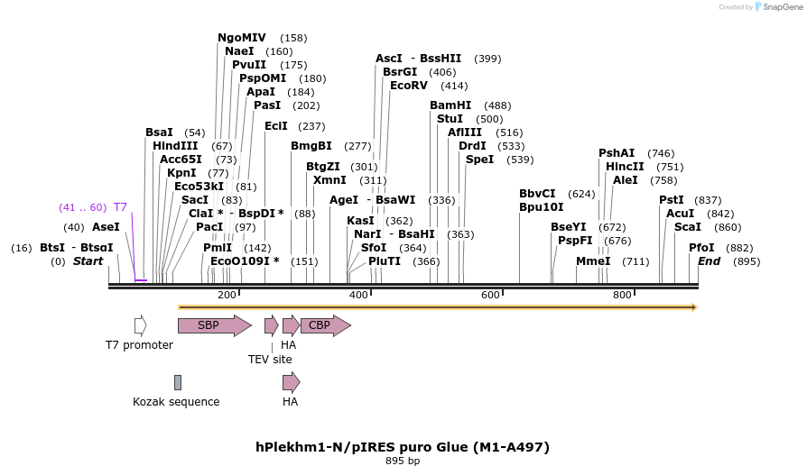 139996_map
