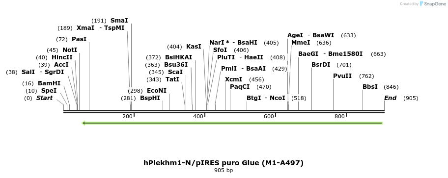 139998_map