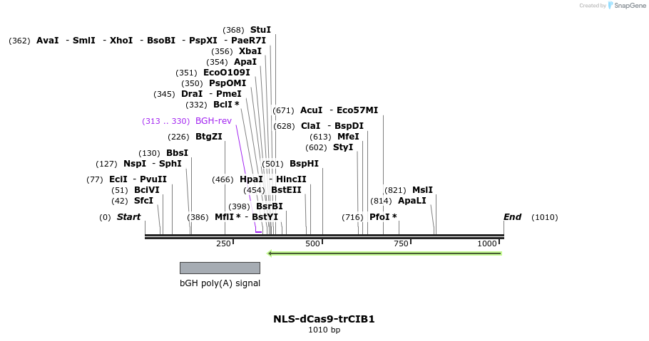 140014_map