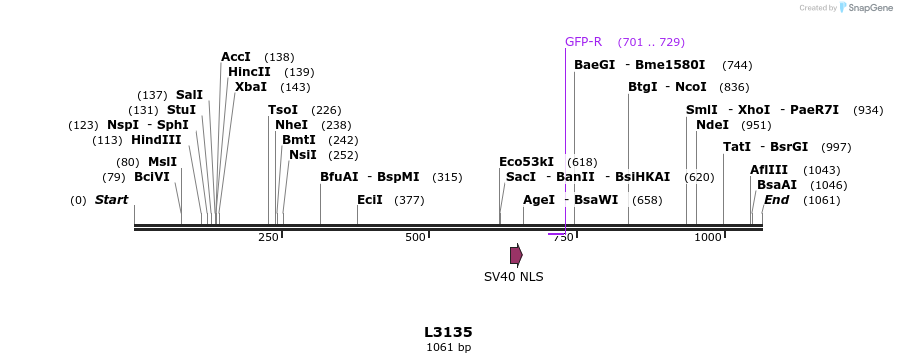 140032_map