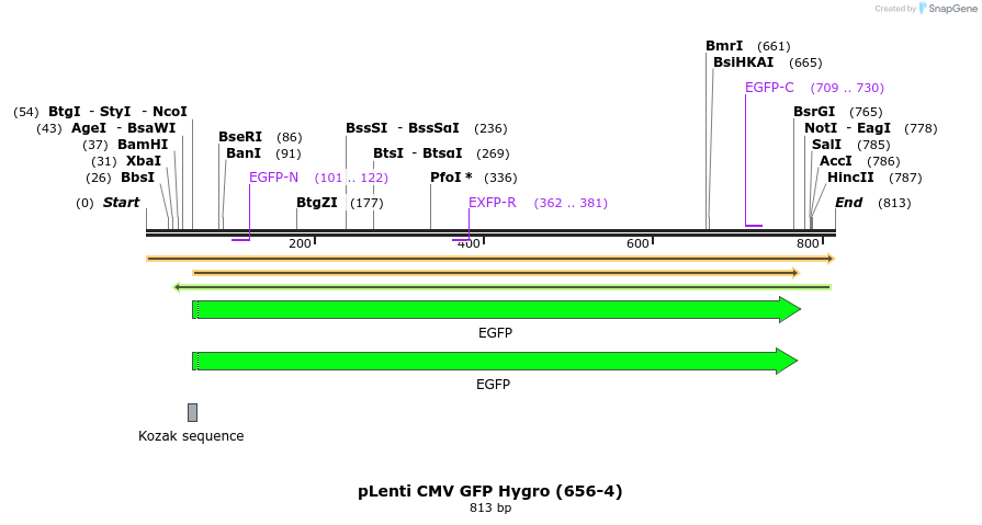 140033_map