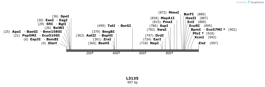140035_map