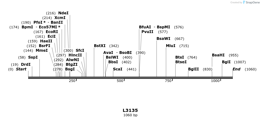 140037_map