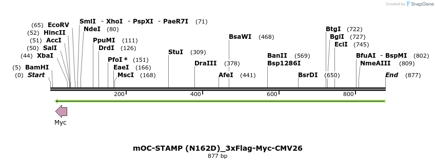 140043_map