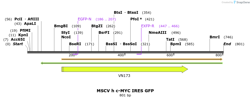 140046_map