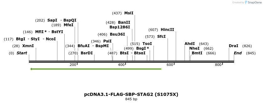 140054_map