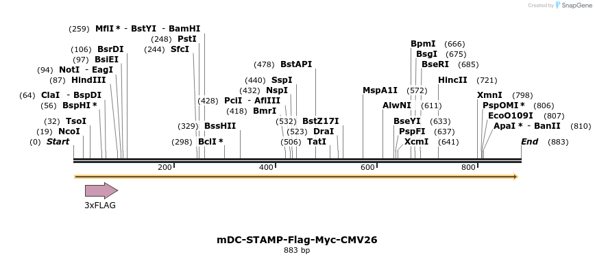 140055_map