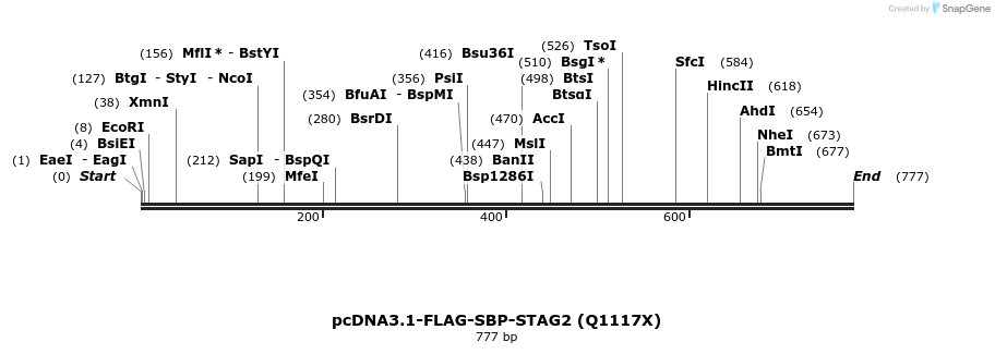 140056_map