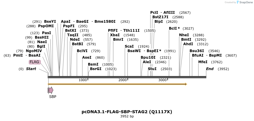 140057_map