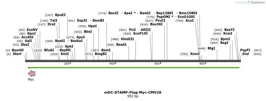 140058_map