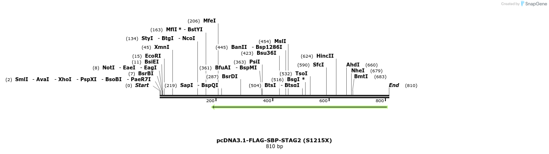 140063_map