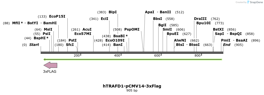 140064_map