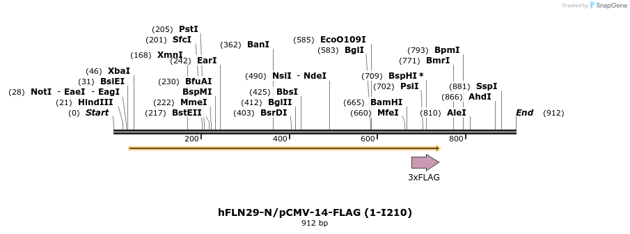 140067_map