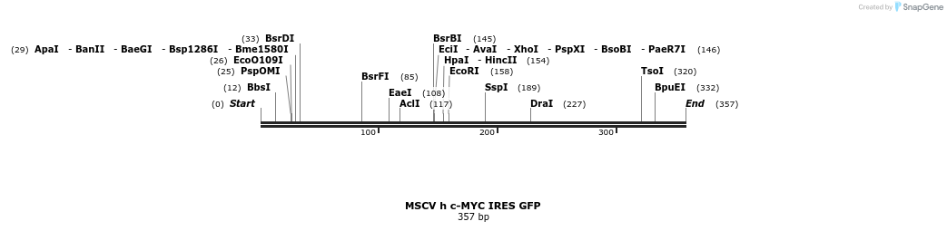 140070_map