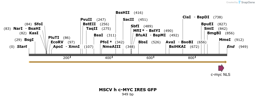 140074_map