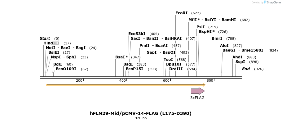 140076_map