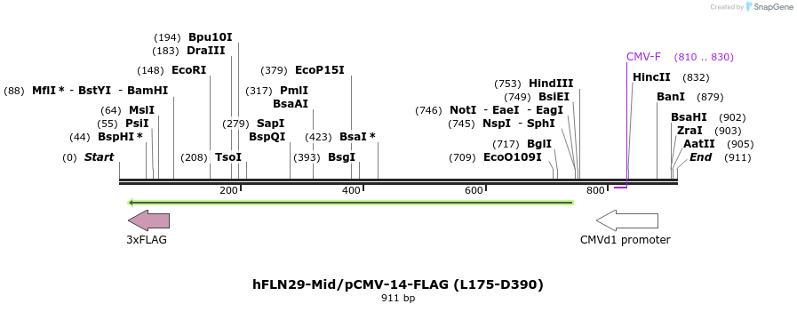 140077_map
