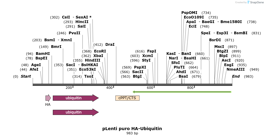 140080_map