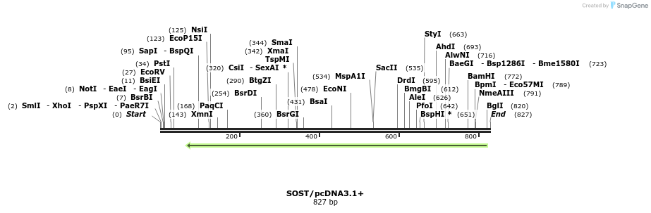 140085_map