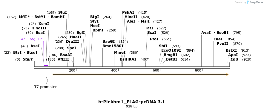 140086_map