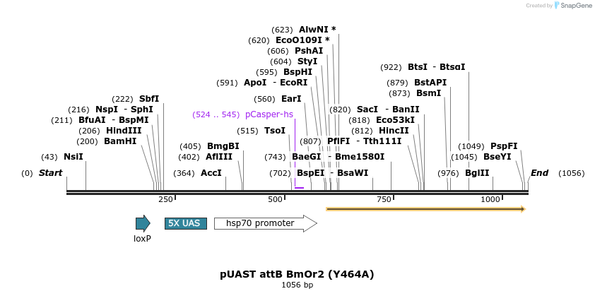 140094_map